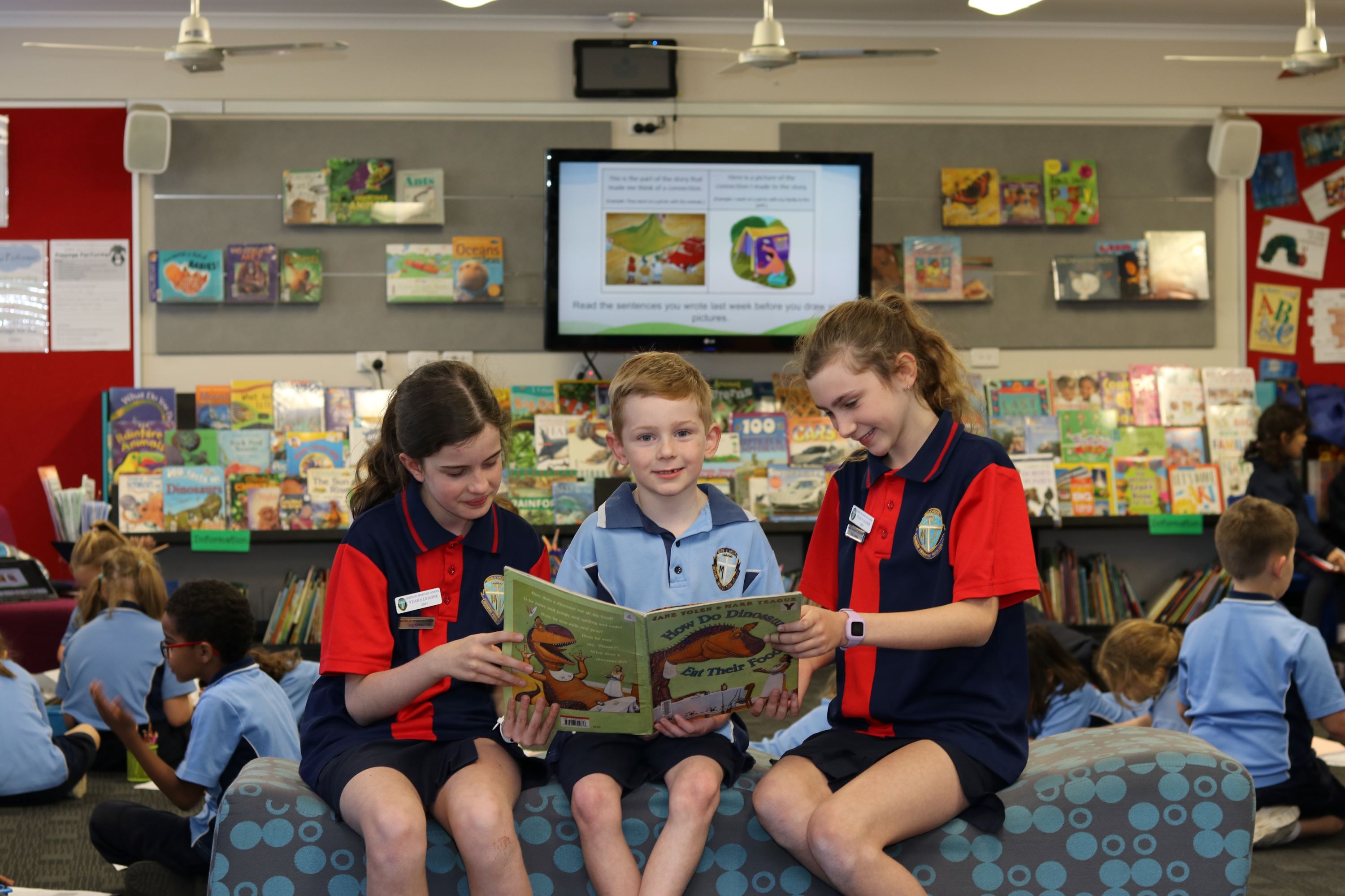 Students sitting together in the school library sharing a book, highlighting literacy development, peer learning and a supportive reading environment